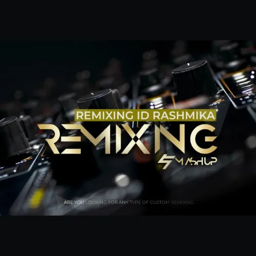 I will remix or mashup your songs in to edm, trap, house ,techno etc